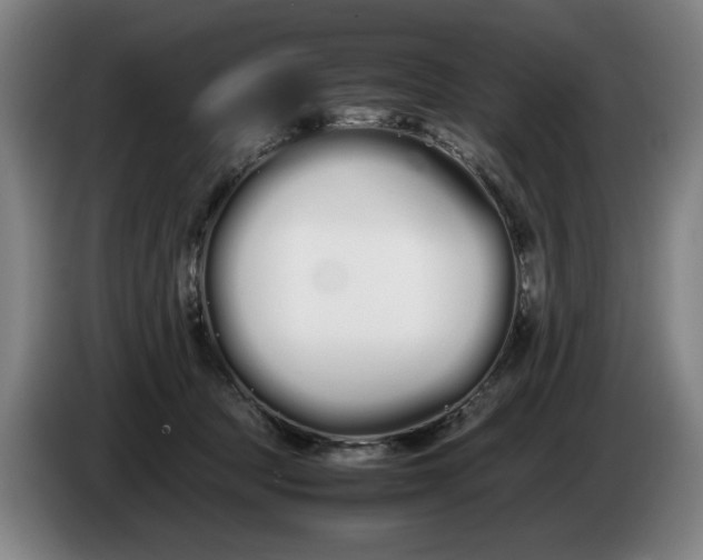 X0000086330369200704202046