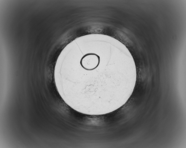 X0000086330370200704202046