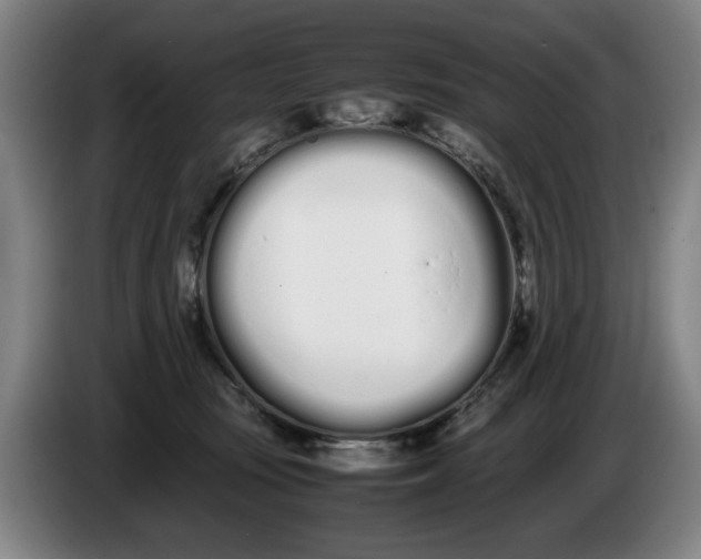 X0000086330371200704202046