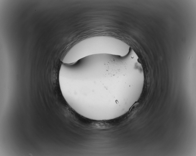 X0000086330372200704202046