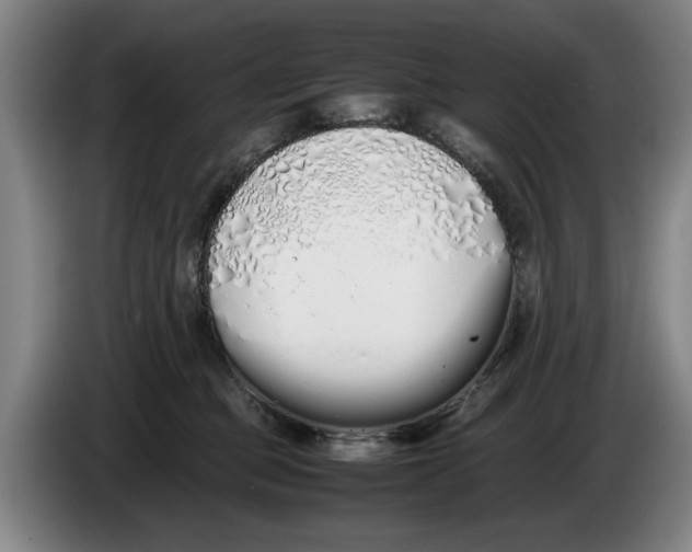 X0000086330373200704202046