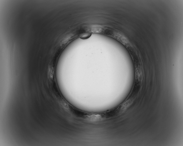 X0000086330374200704202046