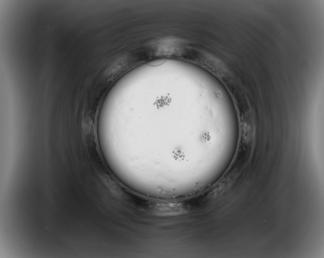 X0000086330375200704202046