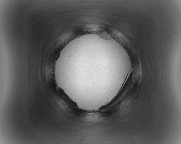 X0000086330376200704202046