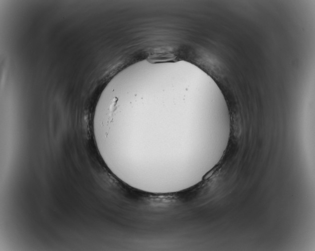 X0000086330378200704202046