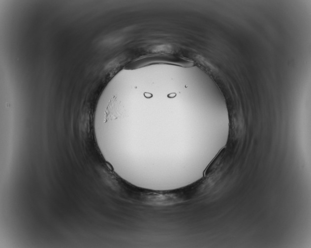 X0000086330379200704202046