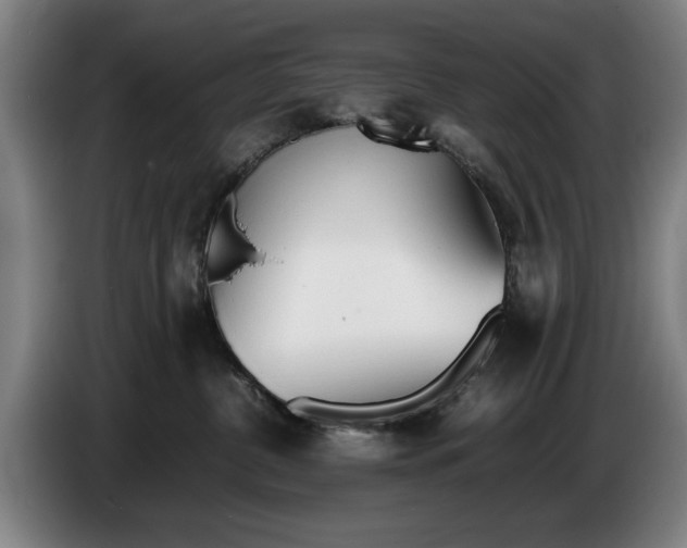 X0000086330380200704202046