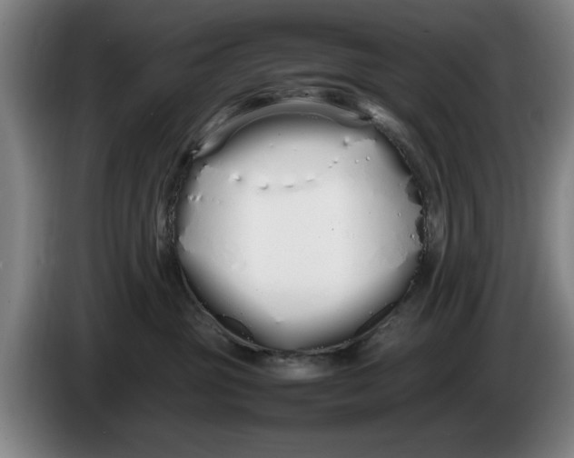 X0000086330381200704202046