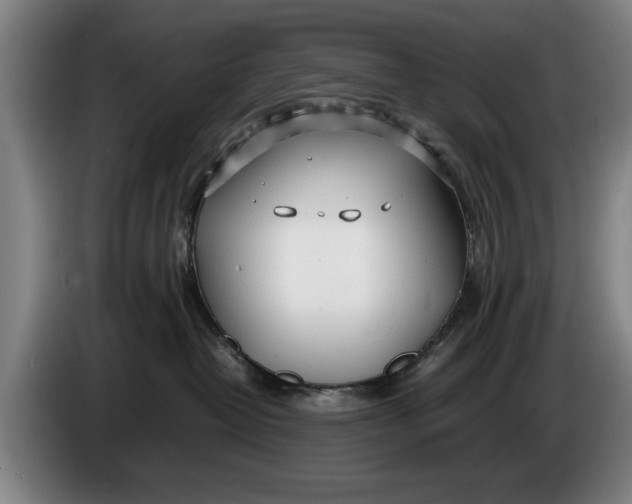 X0000086330382200704202046