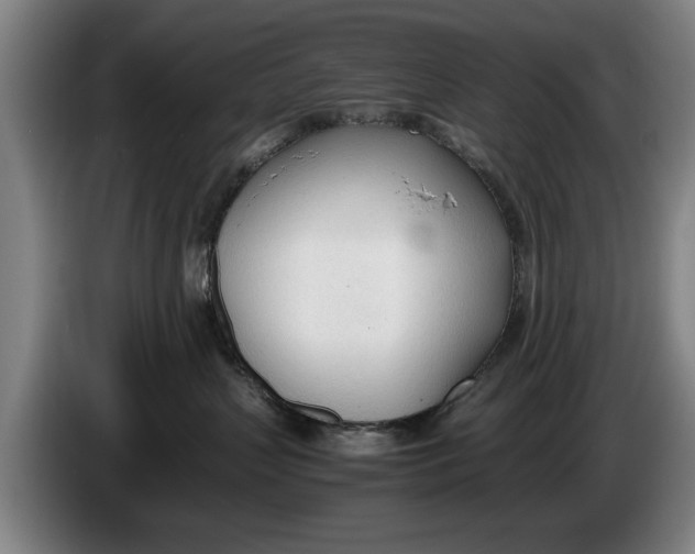 X0000086330383200704202046