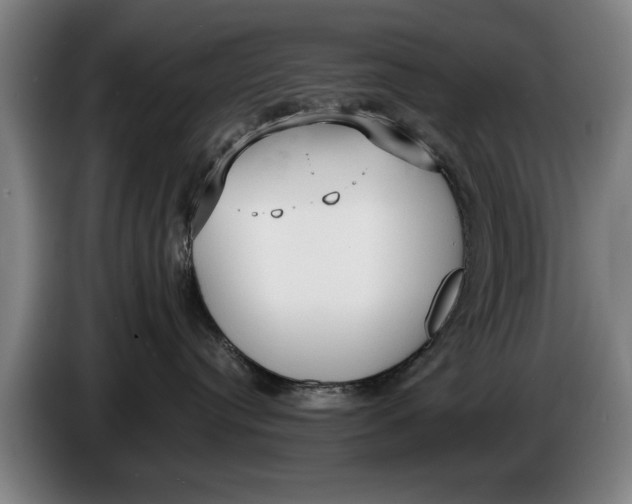 X0000086330384200704202046