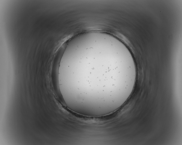 X0000086330385200704202046