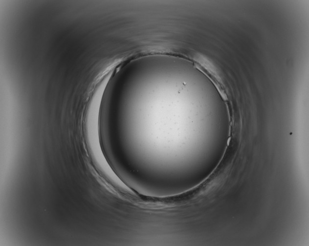 X0000086330389200704202046