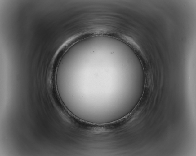 X0000086330392200704202046