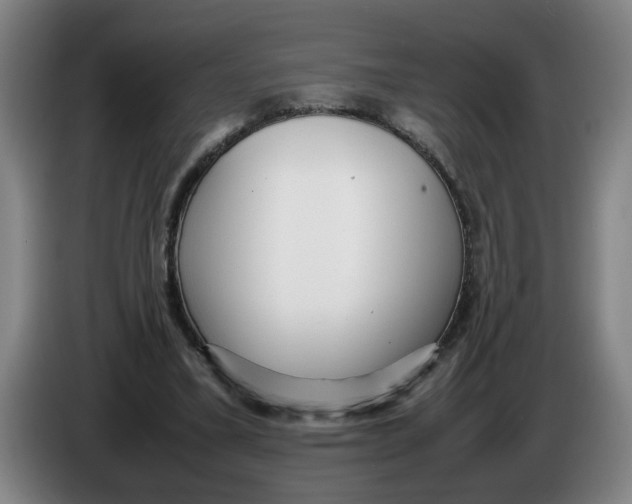 X0000086330395200704202046