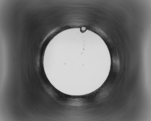 X0000086330396200704202046