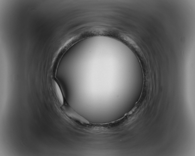 X0000086330399200704202045