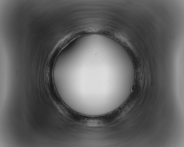 X0000086330400200704202045