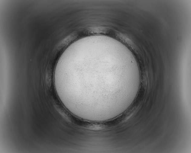 X0000086330402200704202045