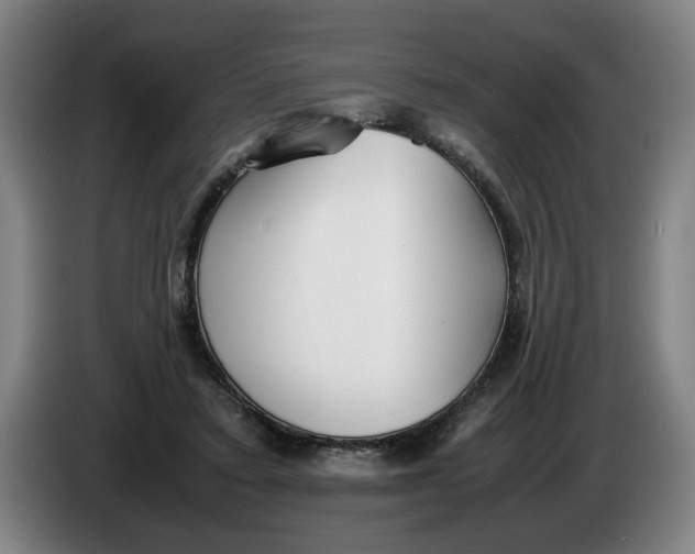 X0000086330403200704202045