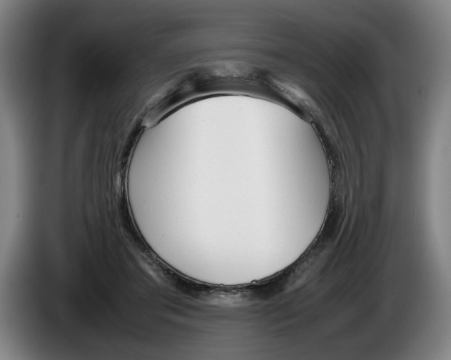 X0000086330405200704202045