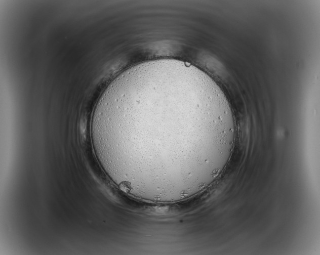 X0000086330406200704202045