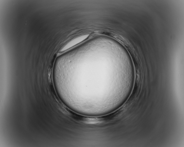 X0000086330409200704202045