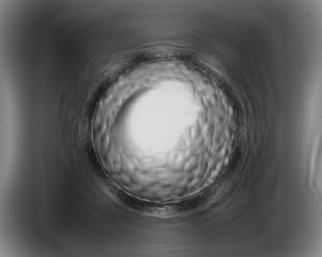 X0000086330411200704202045