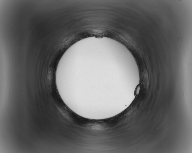 X0000086330412200704202045