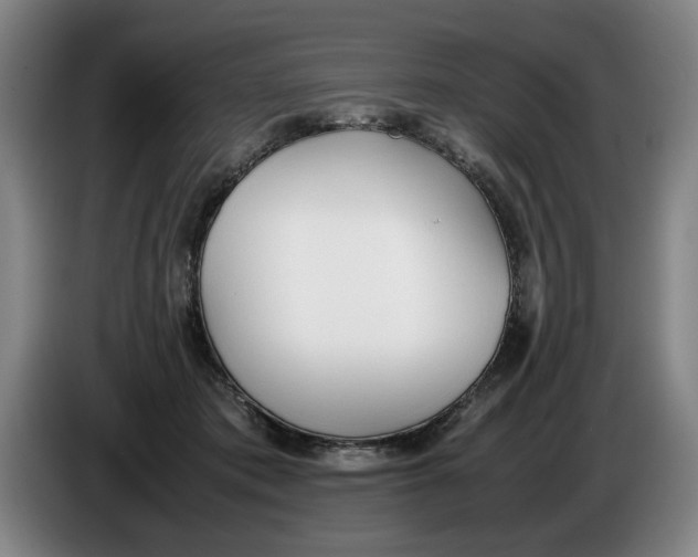 X0000086330413200704202045