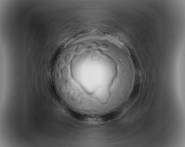 X0000086330415200704202045