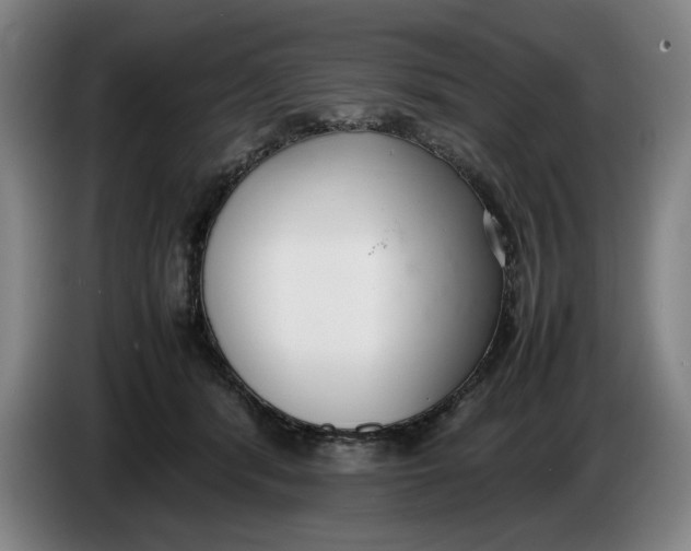 X0000086330416200704202045