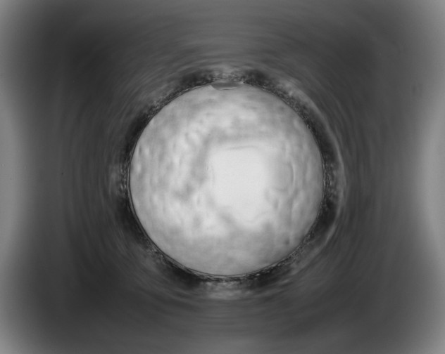 X0000086330419200704202045