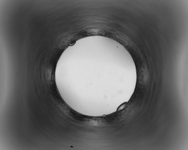 X0000086330420200704202045