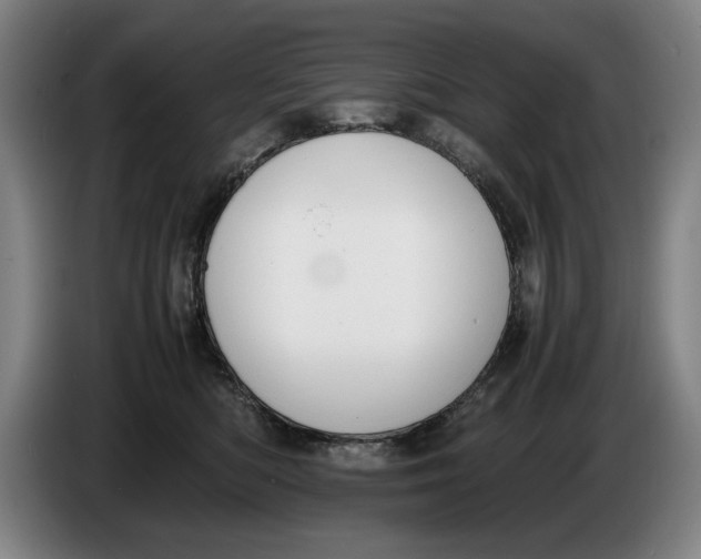 X0000086330422200704202045