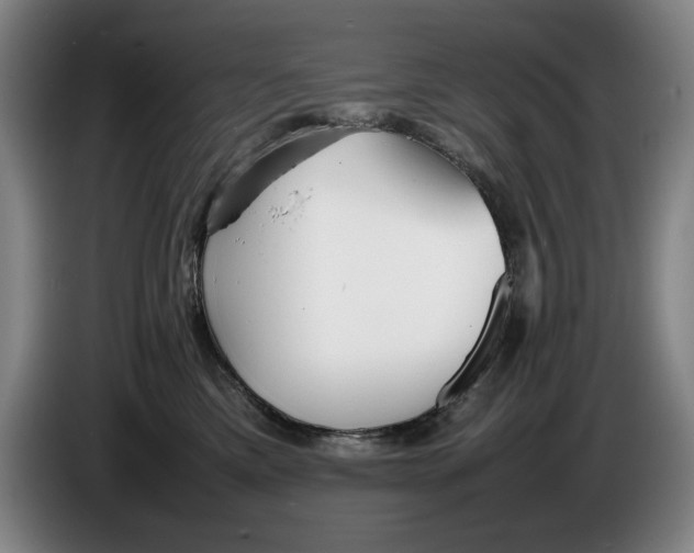 X0000086330425200704202045