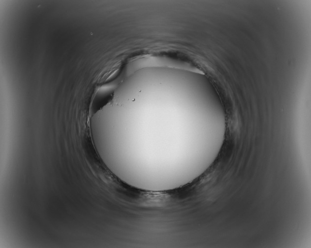 X0000086330429200704202045