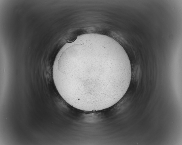 X0000086330430200704202045