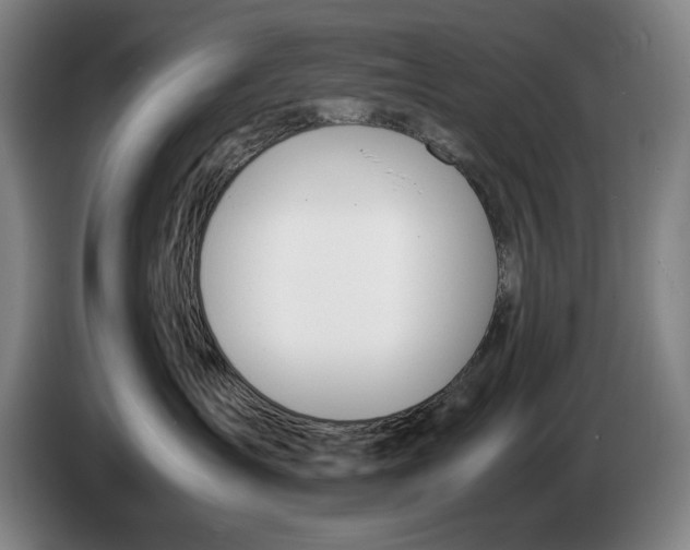 X0000086330431200704202045