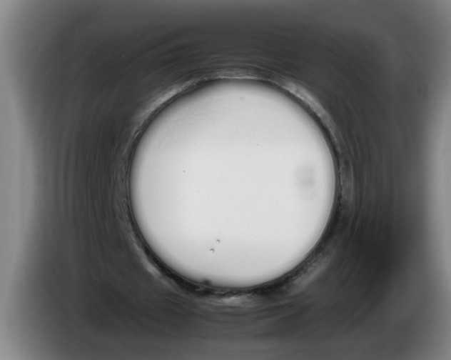 X0000086330433200704202044