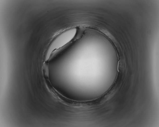 X0000086330434200704202044