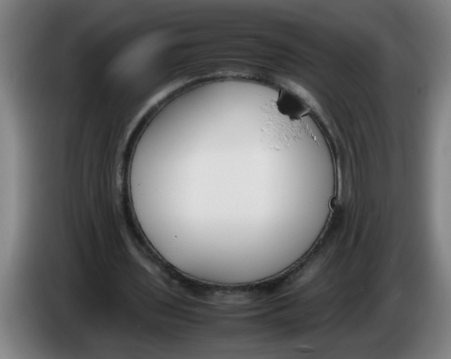 X0000086330435200704202044