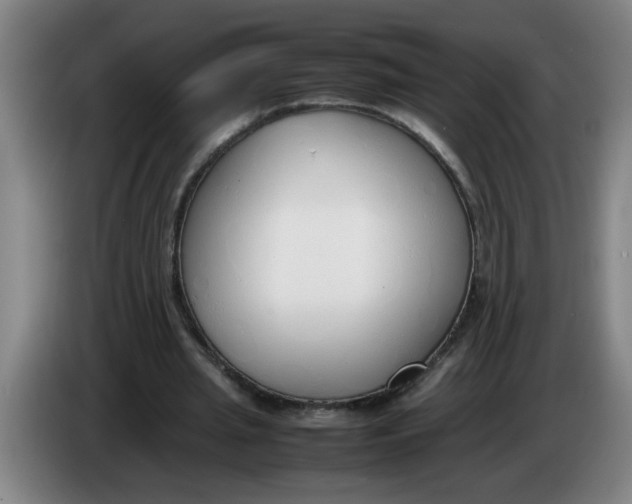 X0000086330437200704202044