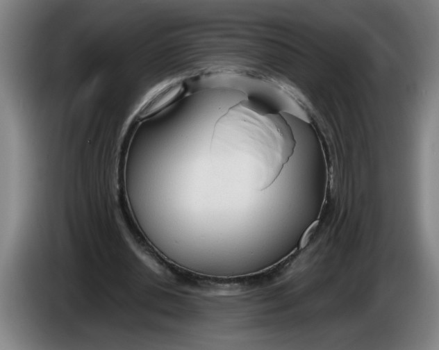 X0000086330438200704202044