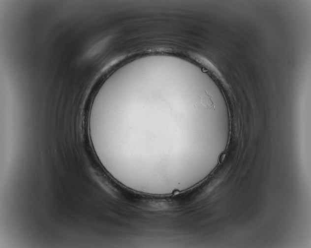 X0000086330439200704202045