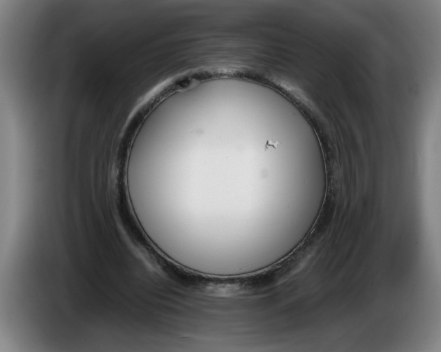 X0000086330440200704202045