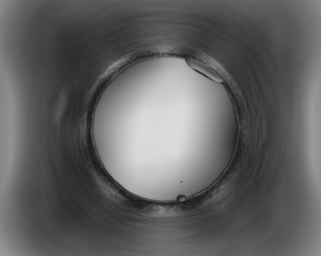 X0000086330442200704202045