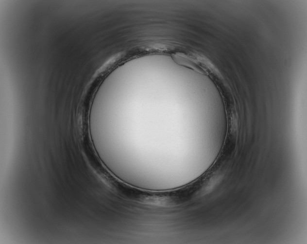 X0000086330444200704202045