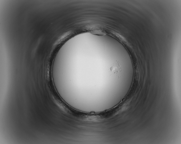 X0000086330446200704202045