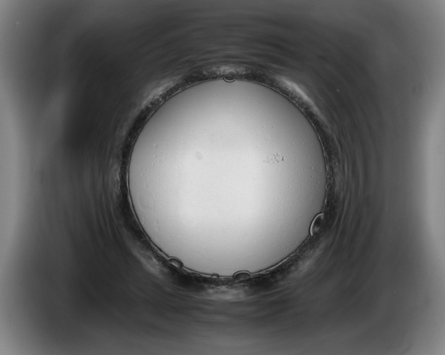 X0000086330447200704202045